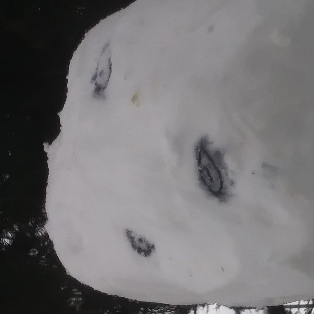 Meet your Posher, Holy shiz i